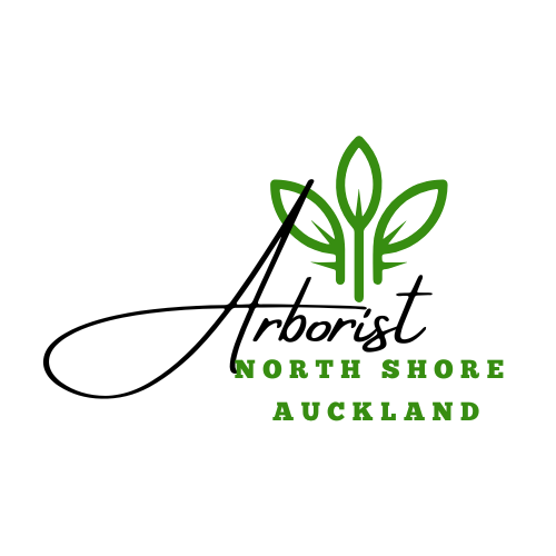 Arborist North Shore Auckland Logo