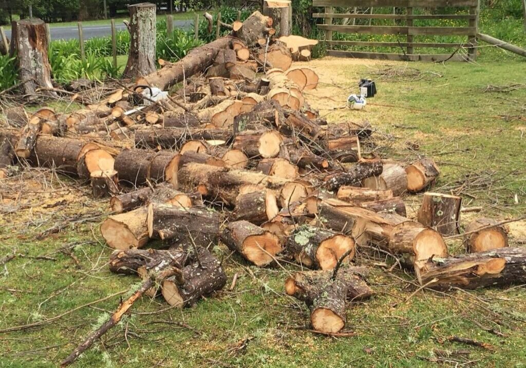 Decayed cypress treeline removal in Rodney, cypress rounds cut and stacked on the paddock